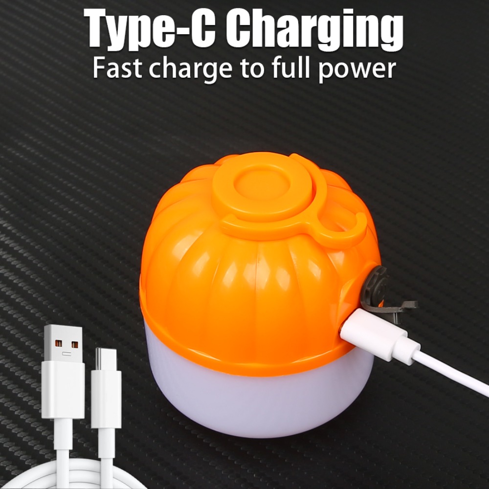 Portable Mini Camping Lamp 4 L - Outdoor Lighting Hooks recension och pris