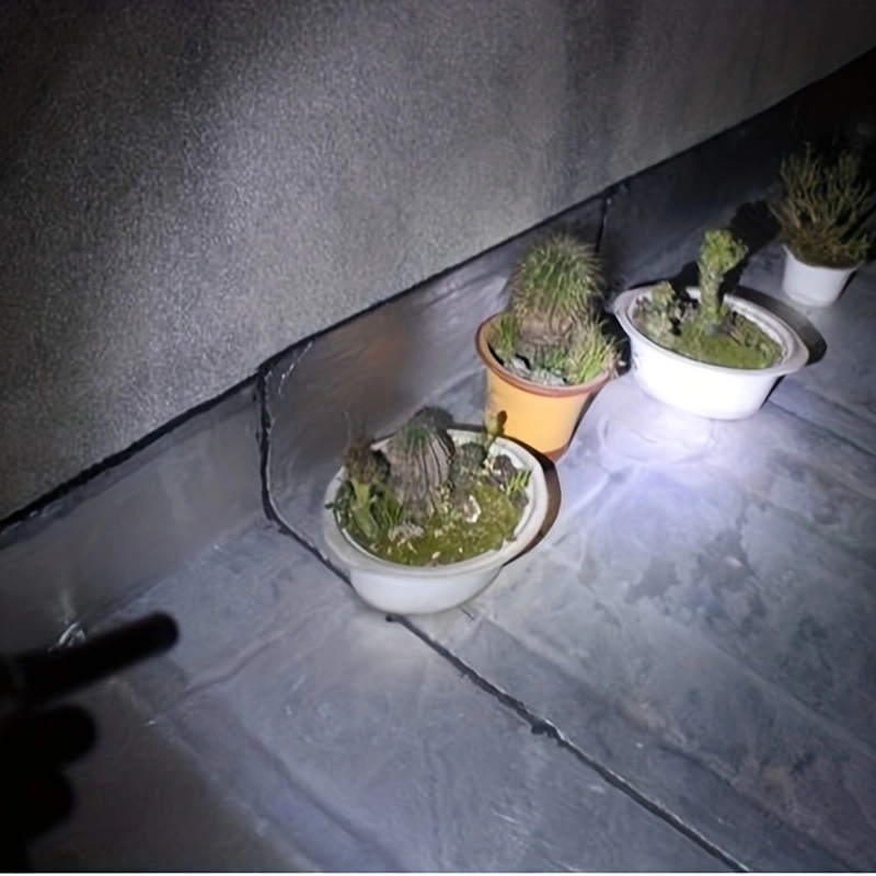 Alonefire P70 3W Portable Mini - Outdoor Lighting Not Working recension och pris